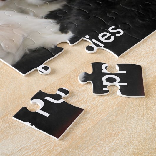 Fünf maltesische Welpen auf einem Puzzlespiel Puzzle (Seite)