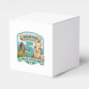 Fünf Monate kleine Abenteuer-Meilenstein Geschenkschachtel