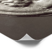 Fünf Münzen mit Janus, Jupiter Poster (Ecke)