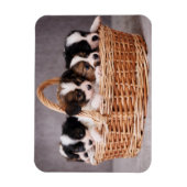 Fünf niedliche Welpen in einem Korb Magnet (Vertikal)