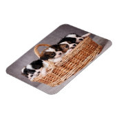 Fünf niedliche Welpen in einem Korb Magnet (Linke Seite)