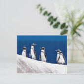 Fünf Pinguine auf einem Rock-Foto in Afrika Postkarte (Stehend Vorderseite)