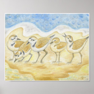 Fünf Regenpfeifer auf dem Strandkunstdruck Poster