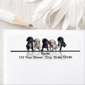 Fünf Schwarze und Tan Cocker Spanische Welpen (Insitu)