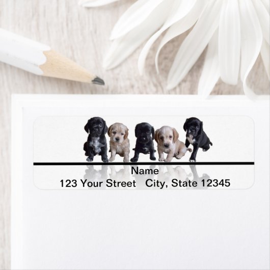 Fünf Schwarze und Tan Cocker Spanische Welpen (Insitu)