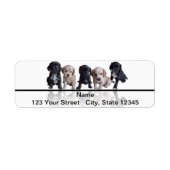 Fünf Schwarze und Tan Cocker Spanische Welpen (Vorne)