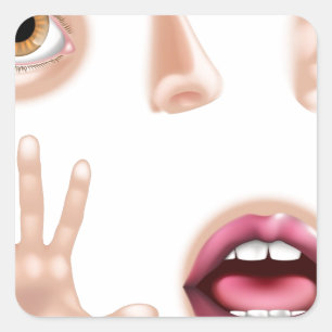 Fünf Sensorteile Quadratischer Aufkleber