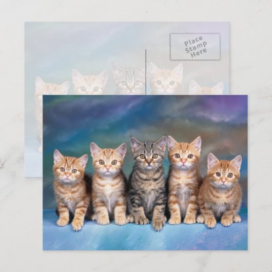 Fünf Tabby Kätzchen, rot in einer Rohe Postkarte (Vorne/Hinten)