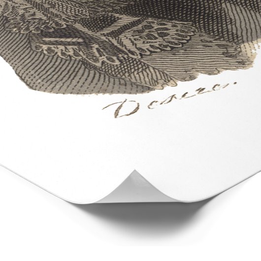 Fünf Viktorianische Beauties Poster (Ecke)