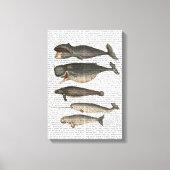 Fünf Vintage Wale Leinwanddruck (Vorderseite)