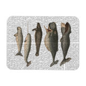 Fünf Vintage Wale Magnet (Horizontal)