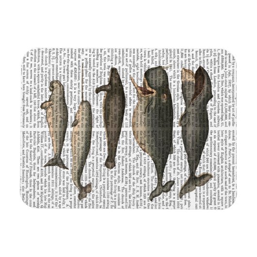 Fünf Vintage Wale Magnet (Horizontal)