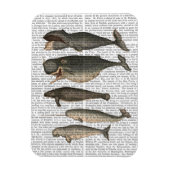 Fünf Vintage Wale Magnet (Vertikal)