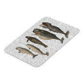 Fünf Vintage Wale Magnet (Linke Seite)