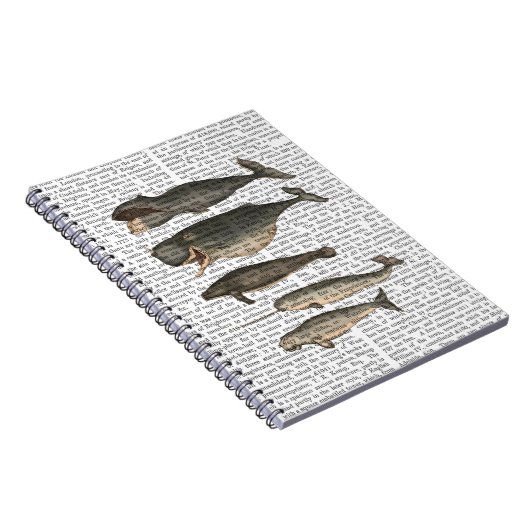 Fünf Vintage Wale Notizblock (Rechte Seite)