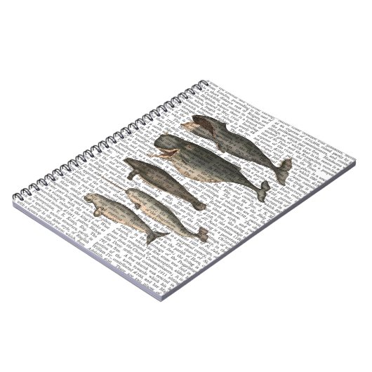 Fünf Vintage Wale Notizblock (Linke Seite)