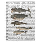 Fünf Vintage Wale Notizblock (Vorderseite)