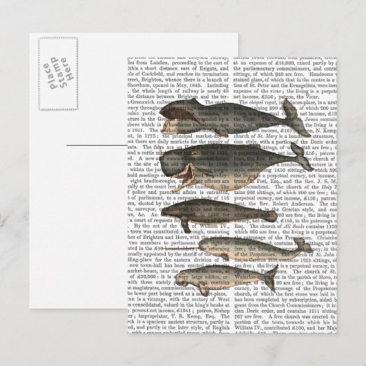 Fünf Vintage Wale Postkarte (Vorne/Hinten)