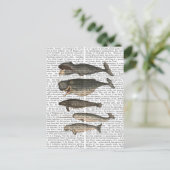 Fünf Vintage Wale Postkarte (Stehend Vorderseite)