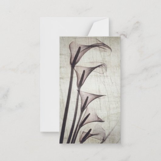 Fünf Vintage X-Ray-Blume Mitteilungskarte (Vorderseite)