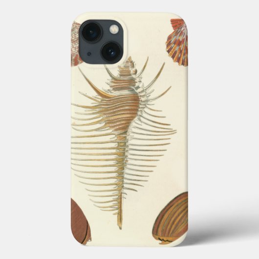 Fünf von einer Art Seashells Case-Mate iPhone Hülle (Rückseite)