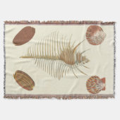 Fünf von einer Art Seashells Decke (Vorderseite)