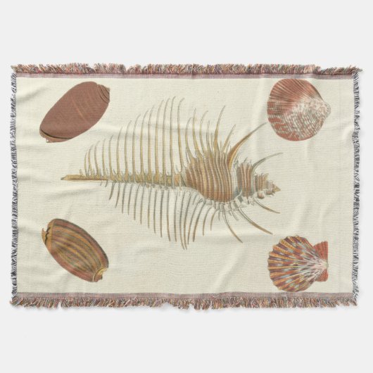 Fünf von einer Art Seashells Decke (Vorderseite)