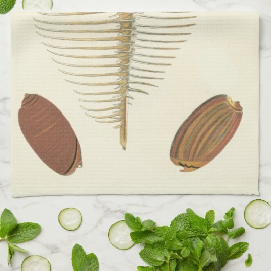 Fünf von einer Art Seashells Handtuch (Gefaltet)