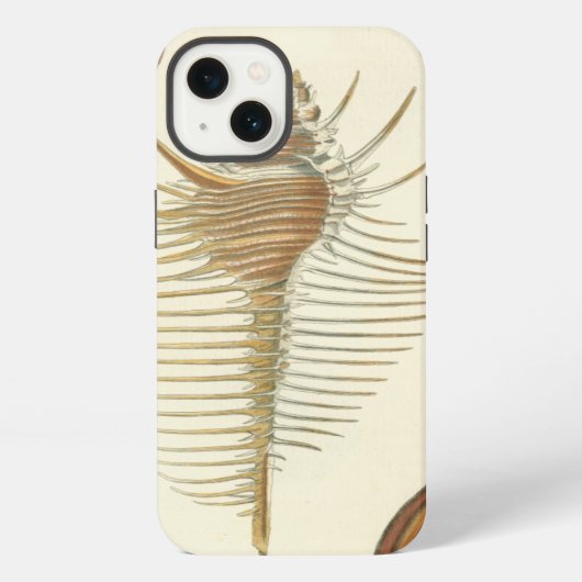Fünf von einer Art Seashells iPhone Hülle (Rückseite)