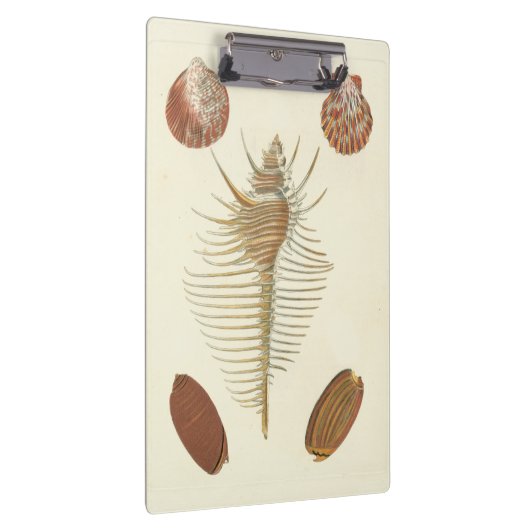 Fünf von einer Art Seashells Klemmbrett (Rechts)