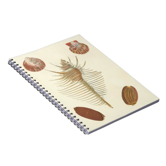 Fünf von einer Art Seashells Notizblock (Rechte Seite)