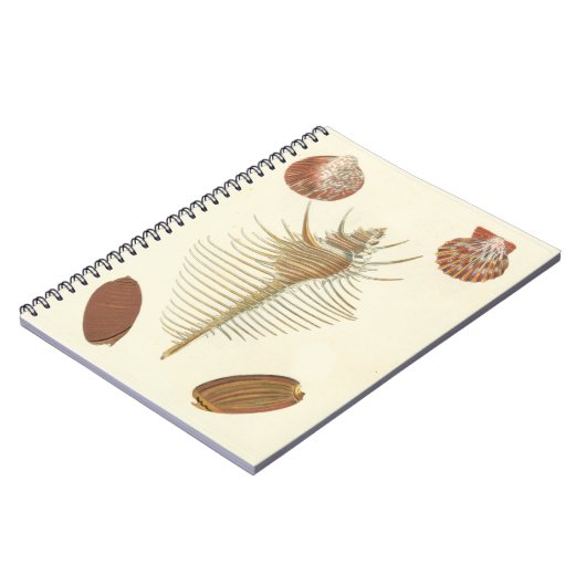 Fünf von einer Art Seashells Notizblock (Linke Seite)