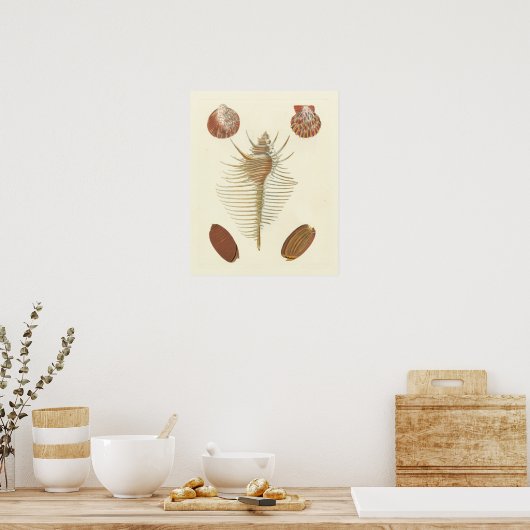 Fünf von einer Art Seashells Poster (Küche)