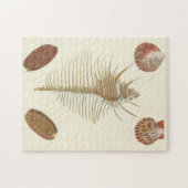 Fünf von einer Art Seashells Puzzle (Horizontal)