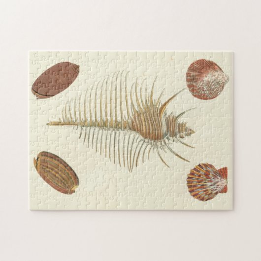 Fünf von einer Art Seashells Puzzle (Horizontal)