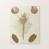 Fünf von einer Art Seashells Puzzle (Vertikal)