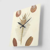 Fünf von nette Seashells Quadratische Wanduhr (Winkel)