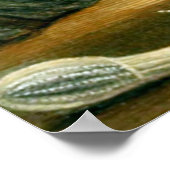 Fünf von zehn poster (Ecke)