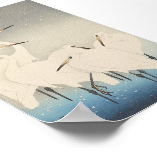 Fünf weiße Egrets Poster (Ecke)