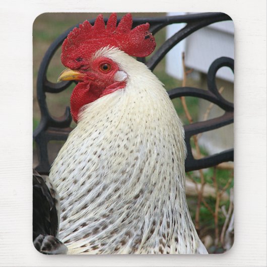 Fünf-Zehen-Rooster-Foto Mousepad (Vorne)