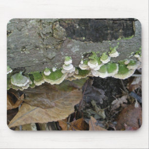 Fungi aus weißem und grünem Streifen Mousepad