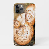 FUNGI Case-Mate iPhone HÜLLE (Rückseite)