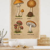 Fungi Chronicles: Eine antike mykologische Studie Poster (Küche)