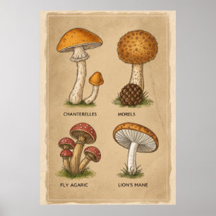 Fungi Chronicles: Eine antike mykologische Studie Poster