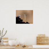 Fungi (Coprinus Plicatilis) Poster (Küche)