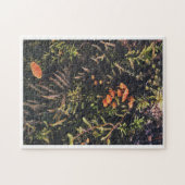 Fungi Dreams Puzzle (Horizontal)