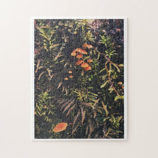 Fungi Dreams Puzzle (Vertikal)