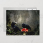 Fungi-Experten Postkarte (Vorne/Hinten)