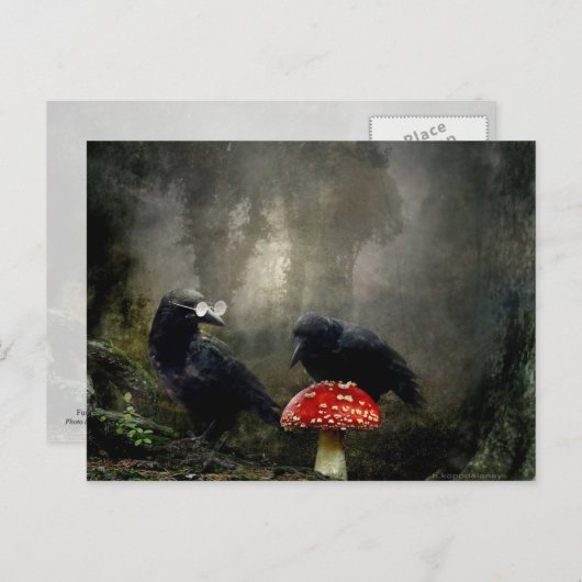 Fungi-Experten Postkarte (Vorne/Hinten)