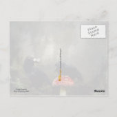 Fungi-Experten Postkarte (Rückseite)